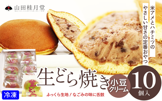 生どら焼き 10個入り 60P023011 / 東北 秋田 大館 大館市 菓子 どらやき 生 生どら スイーツ 和菓子 ギフト プレゼント 贈り物 母の日 父の日 敬老の日 誕生日 記念日 お祝い 創作和菓子 自分への ご褒美 プチ贅沢 おやつ