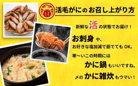 【先行受付開始！】漁協の活毛がに 小サイズ２尾セット※日付指定対応不可※[02-1205]
