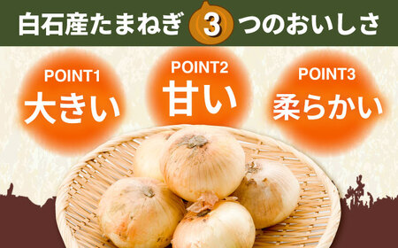白石産たまねぎ 10kg / たまねぎ 玉ねぎ [IAK011]