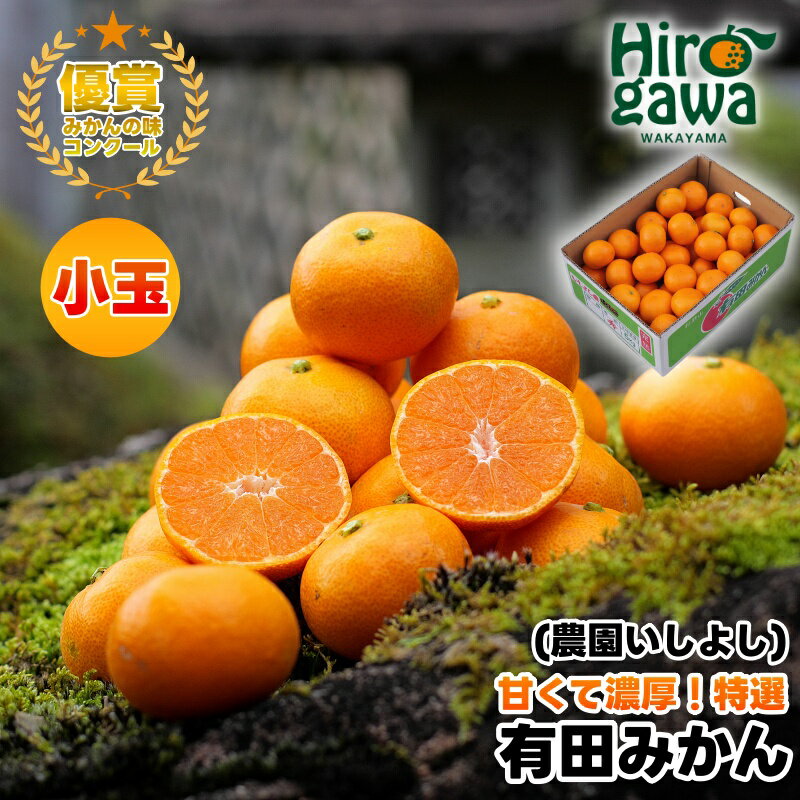 【ふるさと納税】 有田 みかん 小玉 5kg 【 創業120年 農家直送 】 / 温州みかん 有田みかん 甘い 小粒 和歌山 柑橘 12000円 ※11月中旬～1月中旬に順次発送 //mandarin