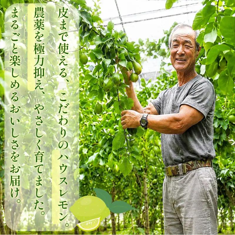  【期間限定 農林水産大臣賞】国産グリーンレモン  1kg 檸檬