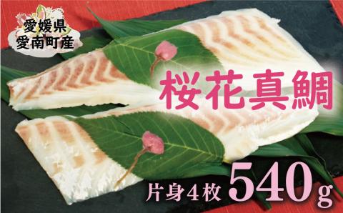 桜花 真鯛 切り身 4柵 合計 540g （ 270g ×2 パック ） 朝〆 まだい 鯛 愛南町 新鮮 冷凍 愛媛県 神経締め 皮引き 三枚おろし 国産 魚介 特産品 刺身 海鮮丼 鯛めし 鯛茶漬け