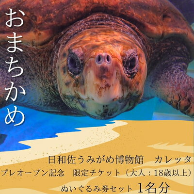 【ふるさと納税】プレオープン記念　限定チケット（大人：18歳以上）ぬいぐるみ券セット　1名分