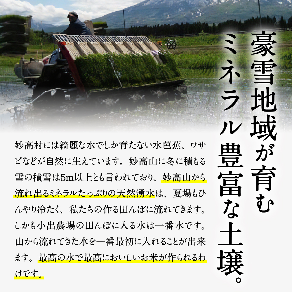 【2025年5月上旬発送】令和6年産 新潟県妙高産こしひかり「星降る里」5kg 無洗米