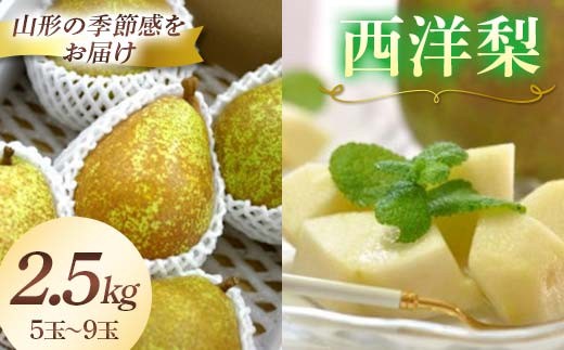 
                  【2026年発送先行予約】西洋梨 5玉～9玉 2.5kg《品種指定はできません》  なし ナシ 梨 デザート フルーツ 果物 くだもの 果実 食品 山形県 FSY-2704
                