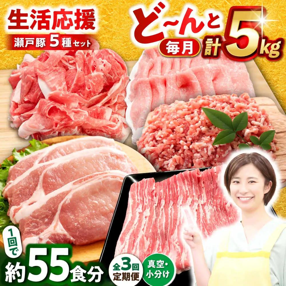 【全3回定期便】瀬戸豚 生活応援セット 計5kg / 豚肉 しゃぶしゃぶ セット [BBBQ216] 豚肉定期便