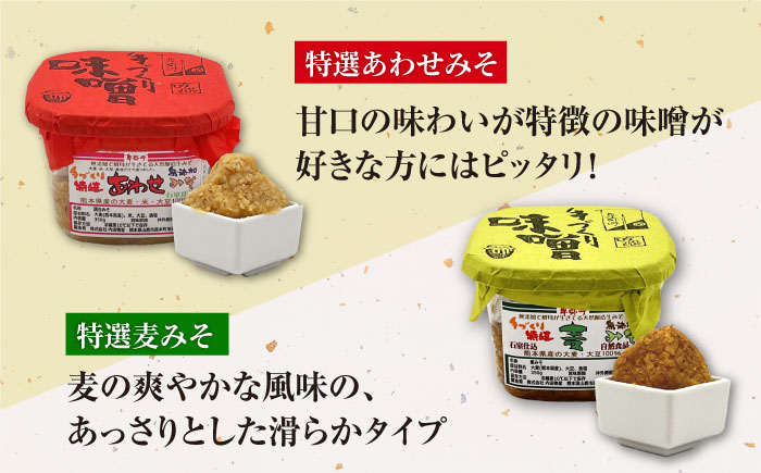 蔵元の味くらべ＜つゆ,味噌4種＞セット（天然かつおだしつゆ360ml×1,特選あわせみそ350g×1,特選麦みそ350g×1,古式みそ350g×1,甘みそ350g×1）【株式会社内田物産 卑弥呼醤院】