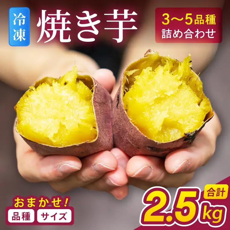 冷凍 焼き芋 品種おまかせ詰め合わせ 2.5kg さつまいも_CF003