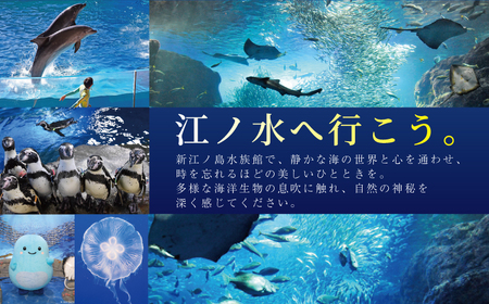  新江ノ島水族館 ぬいぐるみクジ 付き入場券 大人1枚 チケット 水族館 イルカショー 体験チケット 体験型 アクティビティ 入場券 前売り券 お土産 ギフト 旅行 観光 トラベル 関東 江の島 江ノ