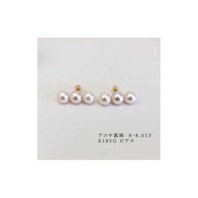 ふるさと納税 志摩市 志摩産アコヤ真珠　8-8.5ミリ 3粒ラインピアス (K18YG) |  | 01