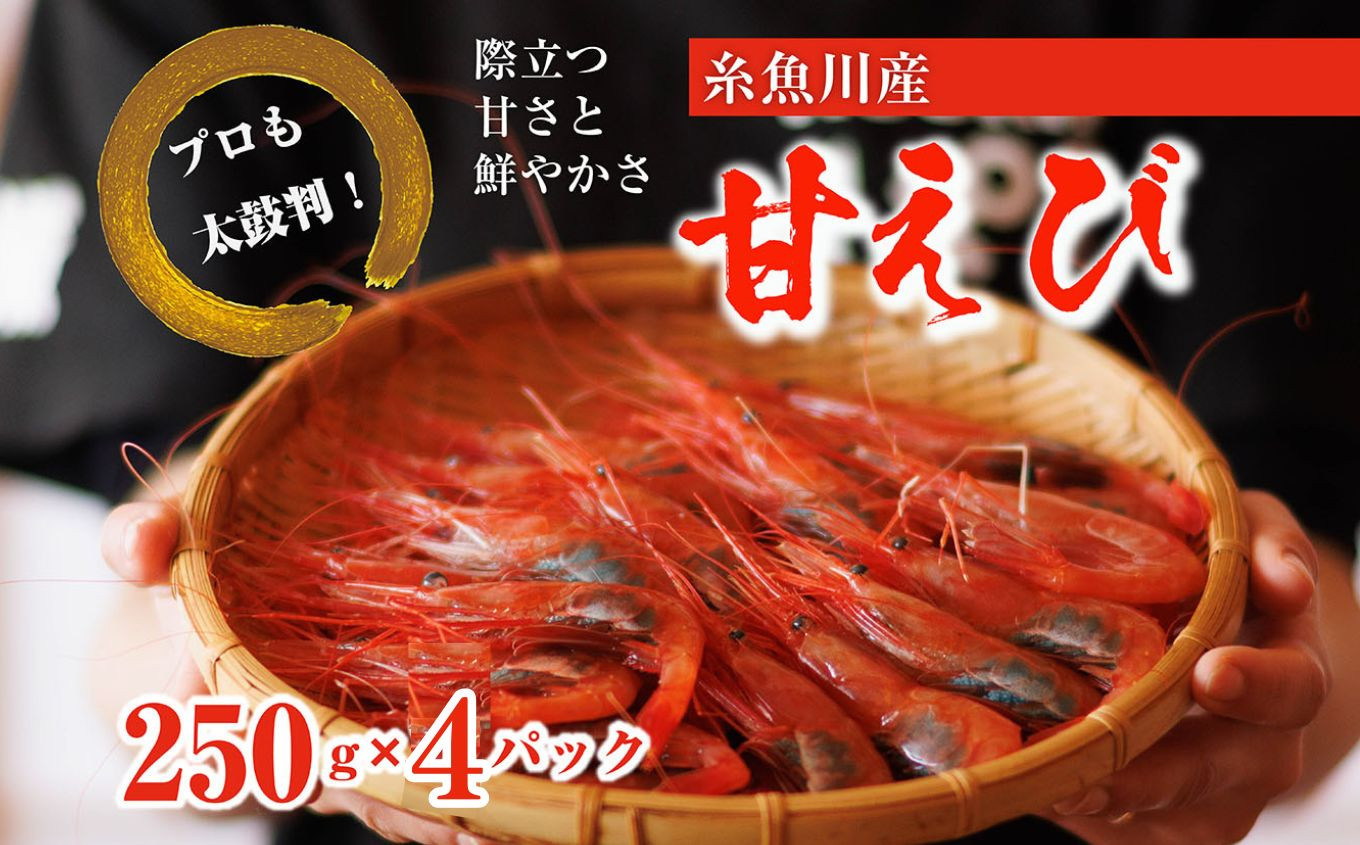
                  ［2月以降順次発送予定］【プロも太鼓判！】糸魚川産『甘エビ』1kg（250g×4ﾊﾟｯｸ）約70尾 際立つ甘さと鮮やかさ 鮮度抜群 日本海直送 新潟 あまえび 甘えび 南蛮エビ お刺身 瞬間 冷凍 新鮮
                