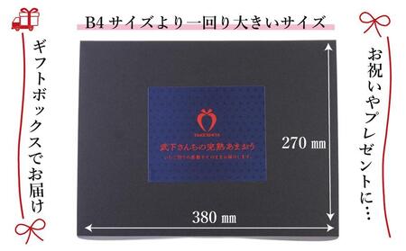 【2027年1月～4月出荷分予約販売】まるで宝石！希少な大粒サイズを2倍の量で！「完熟あまおう」4Lサイズ900g入り