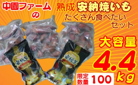 種子島 冷凍 安納焼いも 中園ファーム ＜ 大容量 業務 サイズ ＋ ギフト サイズ＞ 計4.4ｋｇ　NFN181 【375pt】 // 安納芋 安納いも 芋 いも 焼きいも やきいも 焼芋 焼き芋 ヤキイモ 業務用 安納芋 安納いも 芋 いも 焼きいも やきいも 焼芋 焼き芋 ヤキイモ 業務用 安納芋 安納いも 芋 いも 焼きいも やきいも 焼芋 焼き芋 ヤキイモ 業務用 安納芋 安納いも 芋 いも 焼きいも やきいも 焼芋 焼き芋 ヤキイモ 業務用 安納芋 安納いも 芋 いも 焼きいも やきいも 焼芋 