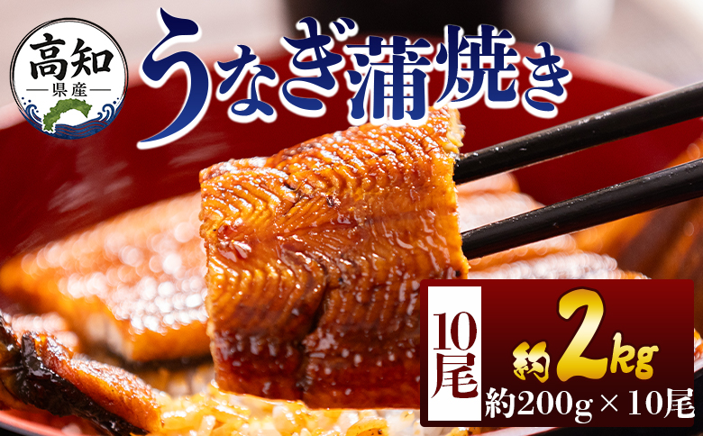 高知県産蒲焼きうなぎ ２００ｇ １０尾 計２０００ｇ fb-0165