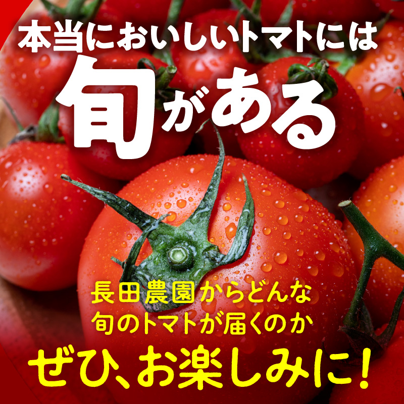 【個数限定】毎月発送!1年楽しめる長田農園 旬のスペシャル定期便 野菜ソムリエサミット 金賞 受賞 長田農園 産地直送 カラフル トマト とまと 野菜 やさい フルーツ サラダ 濃厚 甘い ご褒美 プ