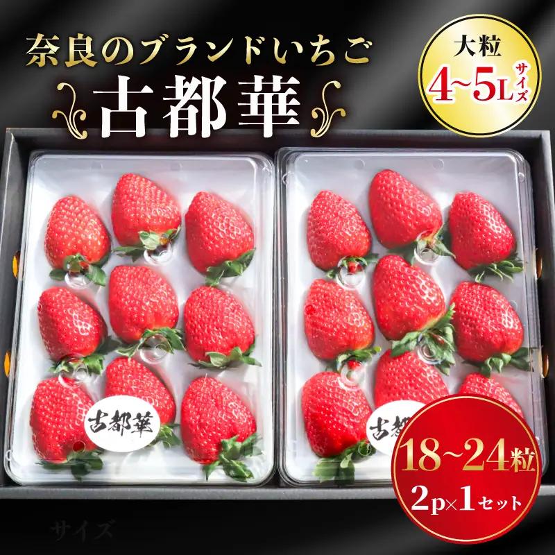 いちご 古都華 2P【R9年1月～発送】