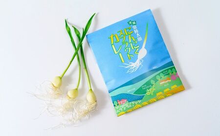 【カレー】にんにくスプラウトカレー 8食