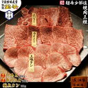 【ふるさと納税】【宝牧場】近江牛希少部位三種焼肉セット（タン・ハラミ・カイノミ） | 近江ビーフ 焼き肉 BBQ 500グラム 500g 肉 お肉 にく 精肉 滋賀県産 贈答 ギフト 人気 おすすめ 送料無料