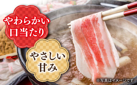 【訳あり】【6回定期便】 うずしおポーク 豚バラスライス 約1000g 国産豚＜スーパーウエスト＞ [CAG260]
