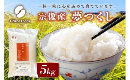 宗像産 夢つくし 5kg（ 米 白米 おいしい 福岡県 宗像市 宗像産 夢つくし 5kg 5キロ ）【ちかえフーズ】_HA1807