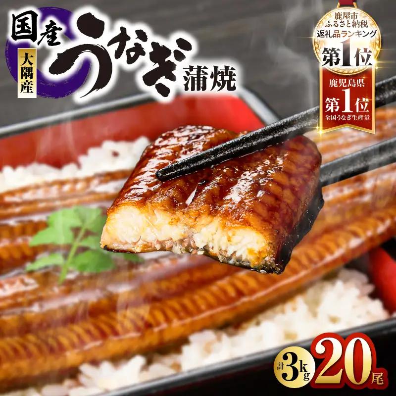 727-1 鹿児島県大隅産 うなぎ蒲焼 20尾（3kg） KN007-020 うなぎ 鰻 魚 惣菜 総菜