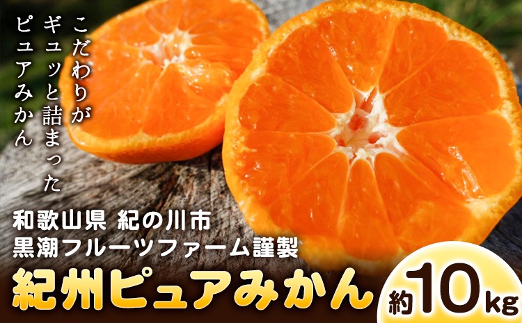 
                  紀州ピュアみかん100 10kg 黒潮フルーツファーム《11月下旬-12月下旬頃出荷》和歌山県 紀の川市 みかん フルーツ 果物
                