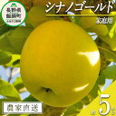 【ふるさと納税】 りんご シナノゴールド 家庭用 5kg 永正の地蔵尊神谷農園 沖縄県への配送不可 令和6年度収穫分 長野県 飯綱町 〔 信州 果物 フルーツ リンゴ 林檎 長野 12000円 予約 農家直送 〕発送時期：2024年11月中旬～2024年12月下旬 {**}