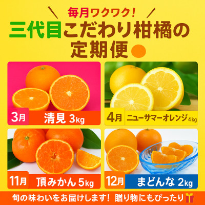 【発送月固定定期便】柑橘【みかん・まどんな・きよみ・ニューサマーオレンジ】【H31−47】全4回【4058614】