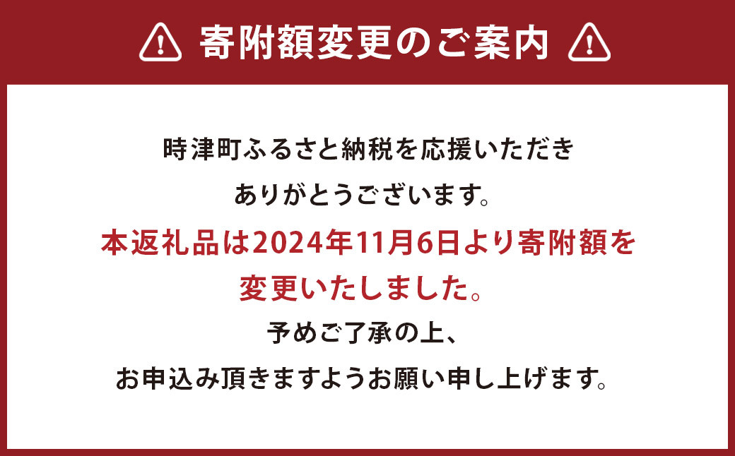 長崎県産 本マグロ「中トロ」