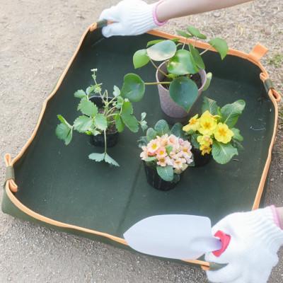 ふるさと納税 忠岡町 グリーンアップマイスター　園芸トレーシート |  | 02