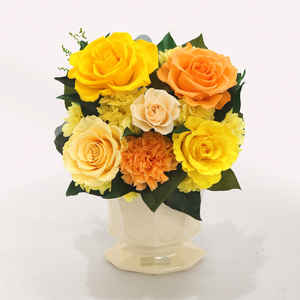 パルマ 花 お花 プリザーブドフラワー ギフト プレゼント お祝い 誕生日 お供え アレンジ インテリア 東京都 墨田区 ピンク