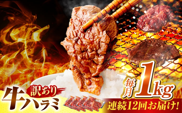 
                  【12回定期便】【訳あり】味付けハラミ 1kg(250ｇ×4パック) / ハラミ 牛肉 焼肉 / 御嵩町 / 馬力家 [AVBO044]
                
