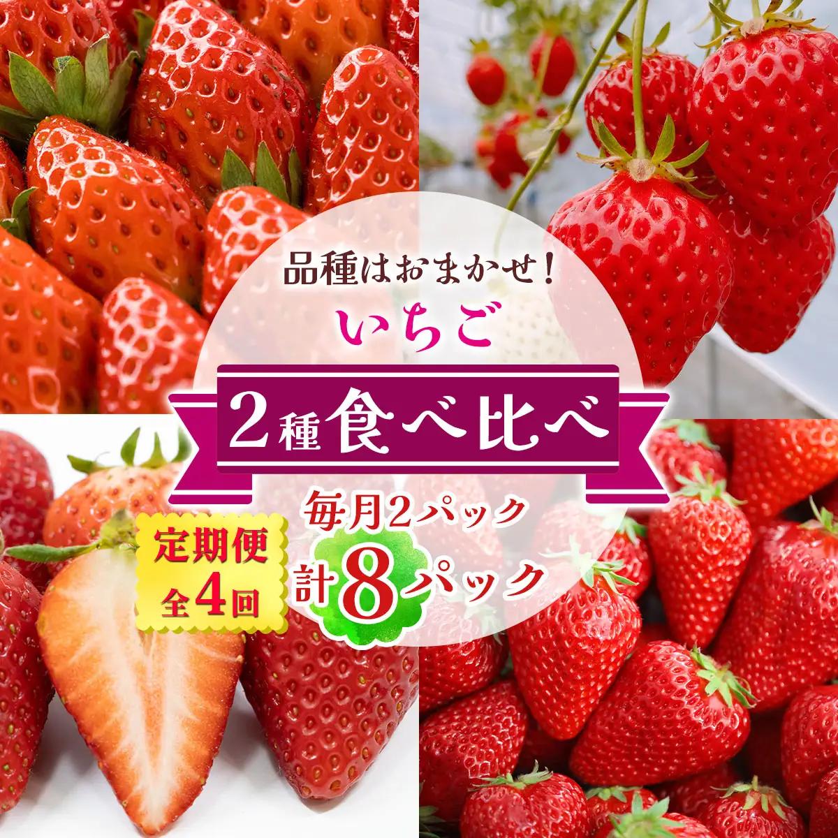 [定期便／全4回] いちご 2種 (2パック) 食べ比べセット 毎月お届け 12月から3月発送 [3373]
