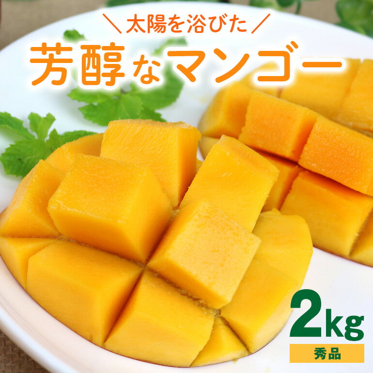 【ふるさと納税】【 先行予約 2026年 発送】 沖縄の太陽を浴びた芳醇なマンゴー 2kg ( 秀品 ) 沖縄県産 マンゴー アップルマンゴー アーウィンマンゴー 2キロ 国産 完熟マンゴー 果物 南国 くだもの フルーツ 完熟 夏 旬 沖縄 お取り寄せ 産地直送 農家直送 糸満市 送料無料