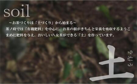 原田茶園 特上煎茶 艶花 200g(100g×2袋)【八女茶】