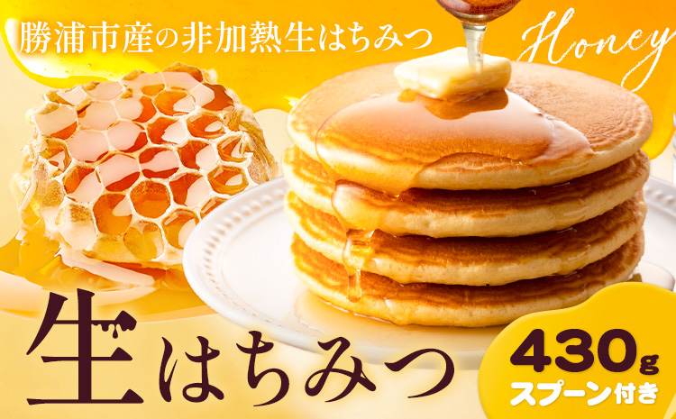 勝浦産 非加熱の 生ハチミツ(430g) ハチミツスプーン付き《30日以内に出荷予定(土日祝除く)》千葉県 勝浦市 はちみつ 蜂蜜 生ハチミツ 非加熱 百花蜜 2506