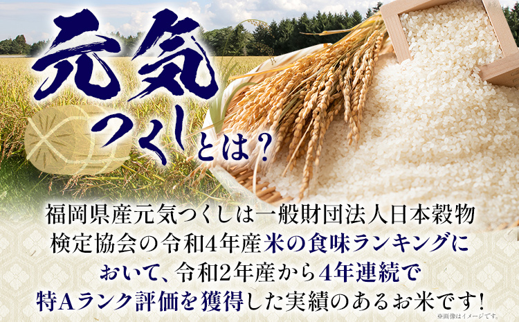 【無洗米】 令和7年産 金のめし丸 元気つくし 合計30kg 10kg (5kg×2袋) ×3回 定期便 白米 精米 お米 ご飯 米 精米 お取り寄せ 福岡 お土産 九州 福岡県産 グルメ 福岡県