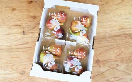 ハウスイチジク 約2kg （約250g×8パック）【2026年6月上旬発送開始】 果物 フルーツ いちじく イチジク 旬 旬の果物 旬のフルーツ 熊本県 合同会社宝ファーム