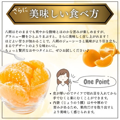 【先行予約】【ご家庭用(キズあり)】大三島産 八朔　約3kg【K003220M3】【1668591】