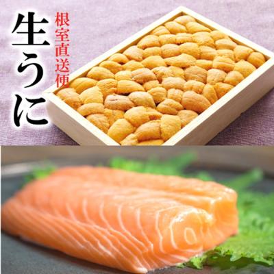 ふるさと納税 根室市 エゾバフンウニバラ150g×1折、お刺身サーモン[11月下旬以降発送] E-40030