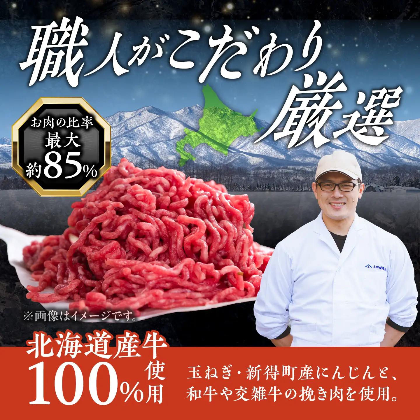 牛肉ハンバーグ 900g ハンバーグ [BNAM031]