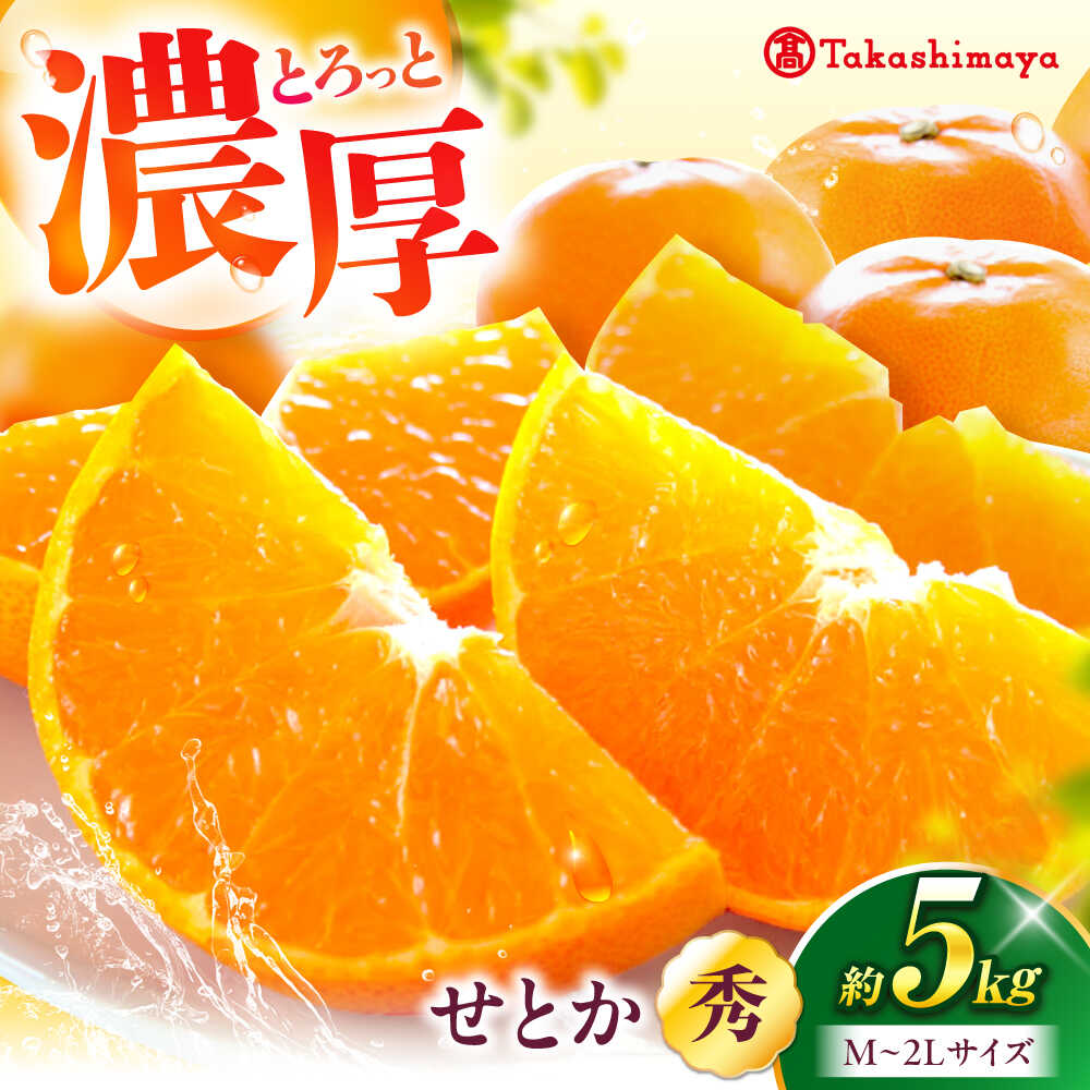 【ふるさと納税】みかん せとか 露地 約5kg【2月中旬から3月中旬まで順次発送】 / フルーツ 果物 蜜柑 ミカン オレンジ 甘い 5kg 愛媛 愛媛産 フルーツギフト 贈り物 プレゼント ギフト 人気 おすすめ 産地直送品 送料無料 / 愛媛県砥部町/株式会社高島屋[BJCM010]