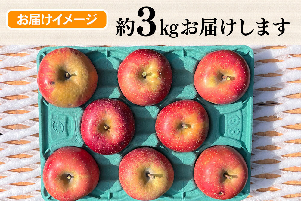 【寄附金額見直しました】【26年10月下旬～発送】りんご 千雪 約3kg カワムラファーム【訳あり】青森 果物 フルーツ 林檎 リンゴ くだもの [先行受付 アップル おいしい ちゆき 果実 果物 赤