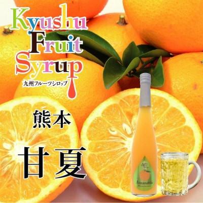 ふるさと納税 水俣市 九州果実シロップ【熊本セット】500ml×3本 甘夏・デコポン・天草晩柑 |  | 01