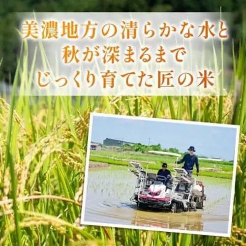 【毎月定期便】岐阜県産ハツシモ(無洗米) 10kg全9回【配送不可地域：離島】【4076356】