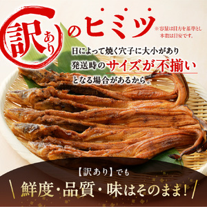 【訳あり】穴子 国産 焼穴子 炭火焼 5～11本入（320g前後）  タレ付き