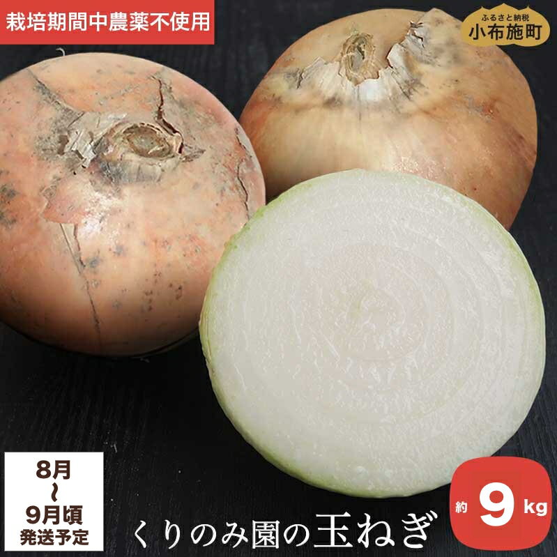 【ふるさと納税】 栽培期間中農薬・化学肥料不使用 くりのみ園の玉ねぎ 約9kg ［くりのみ園］ 有機JAS認定取得 野菜 やさい 玉ねぎ たまねぎ タマネギ 玉葱 長野県産 信州産 オーガニック 令和7年産 【2025年8月～9月頃発送】