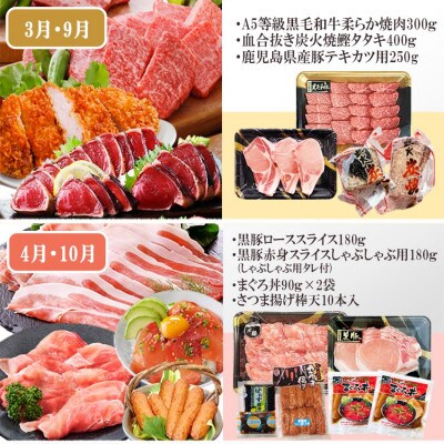 定期便6回配送 【当店限定】ごちそうまんきつセット FF−6004【配送不可地域：離島】【1492208】