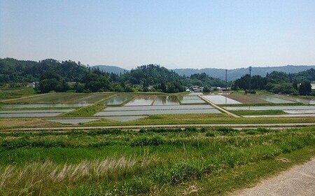 3-O　【6ヶ月定期便】コシヒカリ 白米 会津 10kg 6回 計60kg 令和7年産米 ｜ 減農薬 特別栽培米 米 お米 藤川農産 ※2025年10月上旬頃より順次発送予定