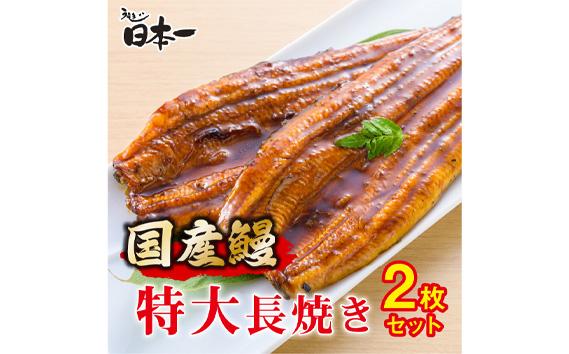 【日本一】国産うなぎ　特大長焼き2枚セット No.194
